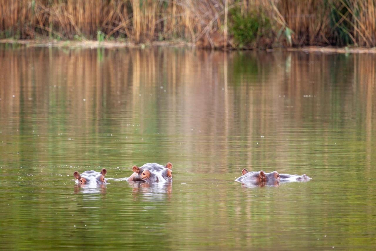 Lejwe La Metsi Private Reserve Bela-Bela Buitenkant foto